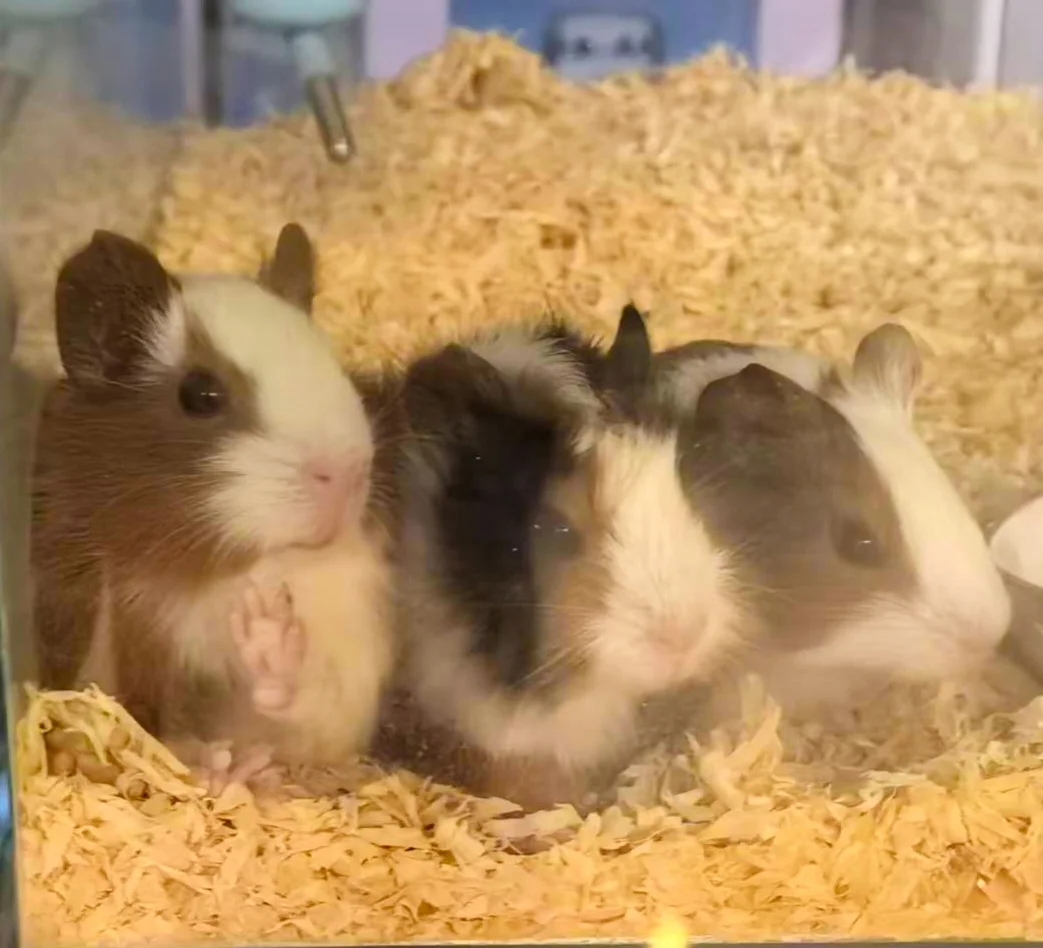 岗位汇总！有工作的看过来