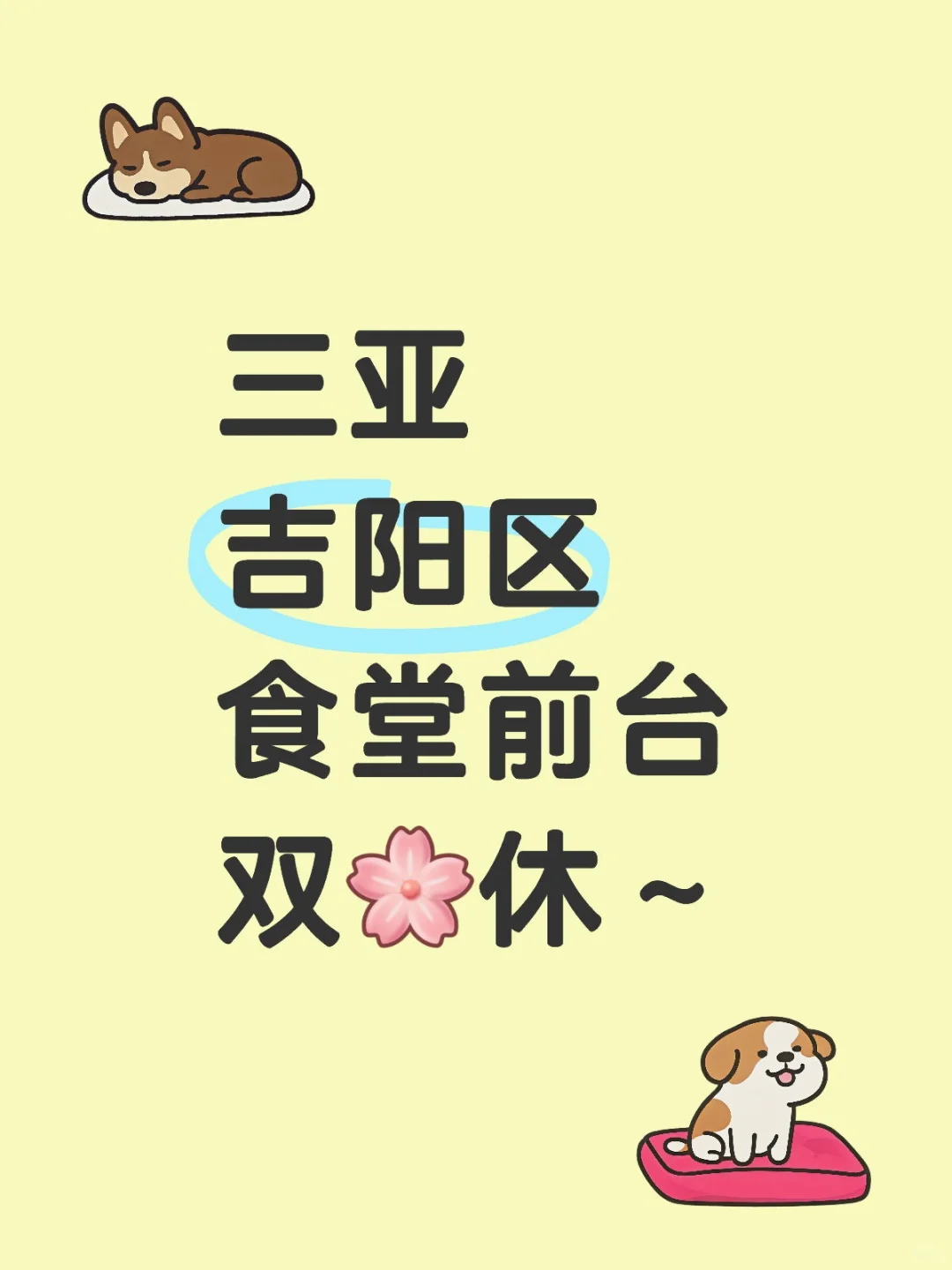 三亚吉阳区食堂前台丨④OOO