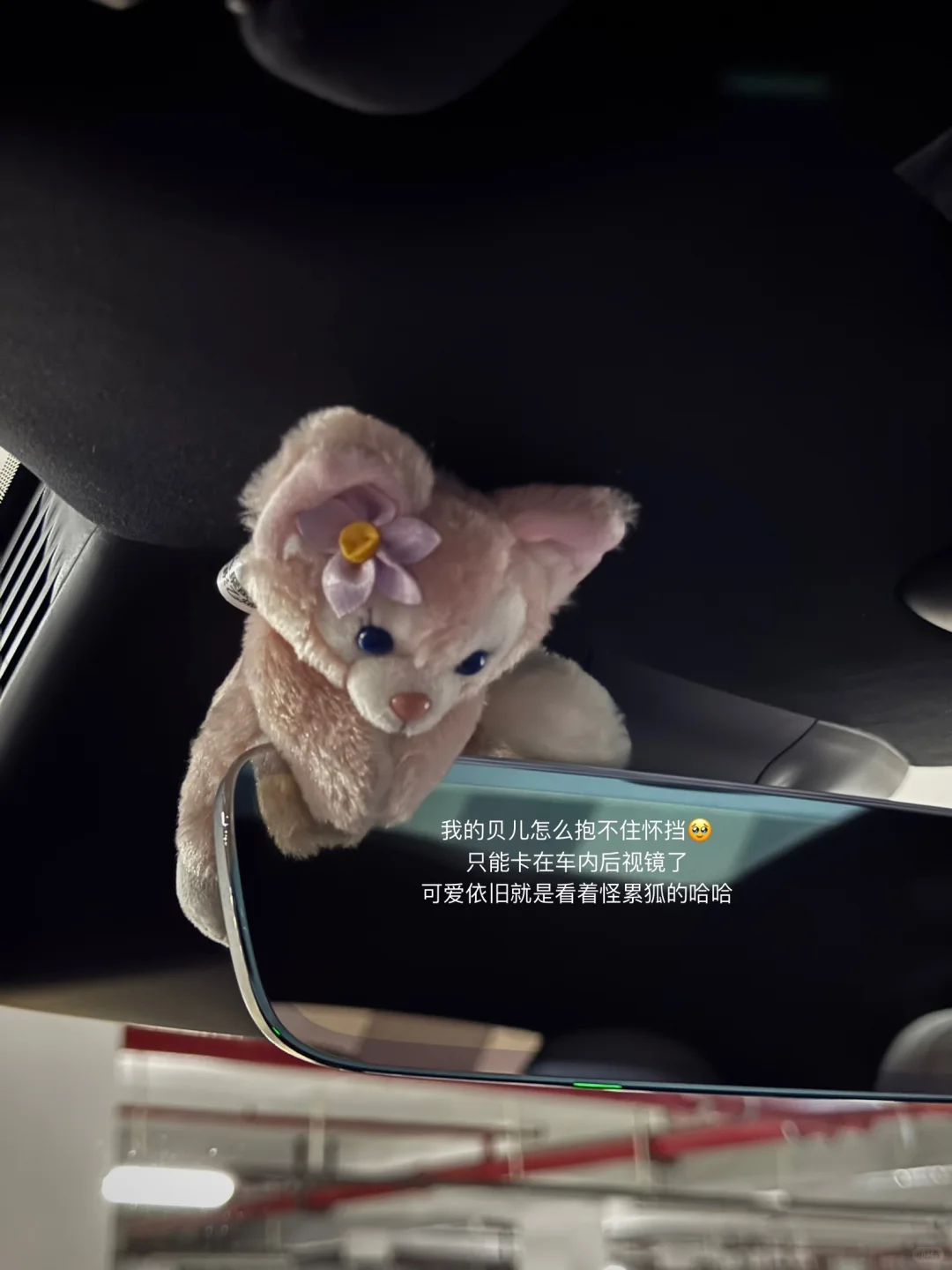 提车日记｜喜提蔚来 奔富未来💜