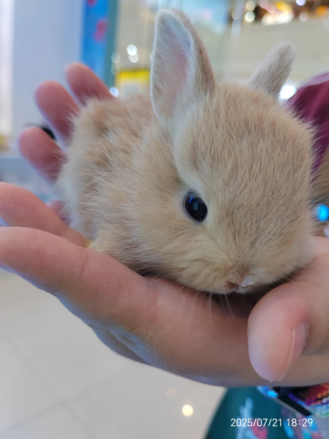 岗位汇总！没有工作的看过来！