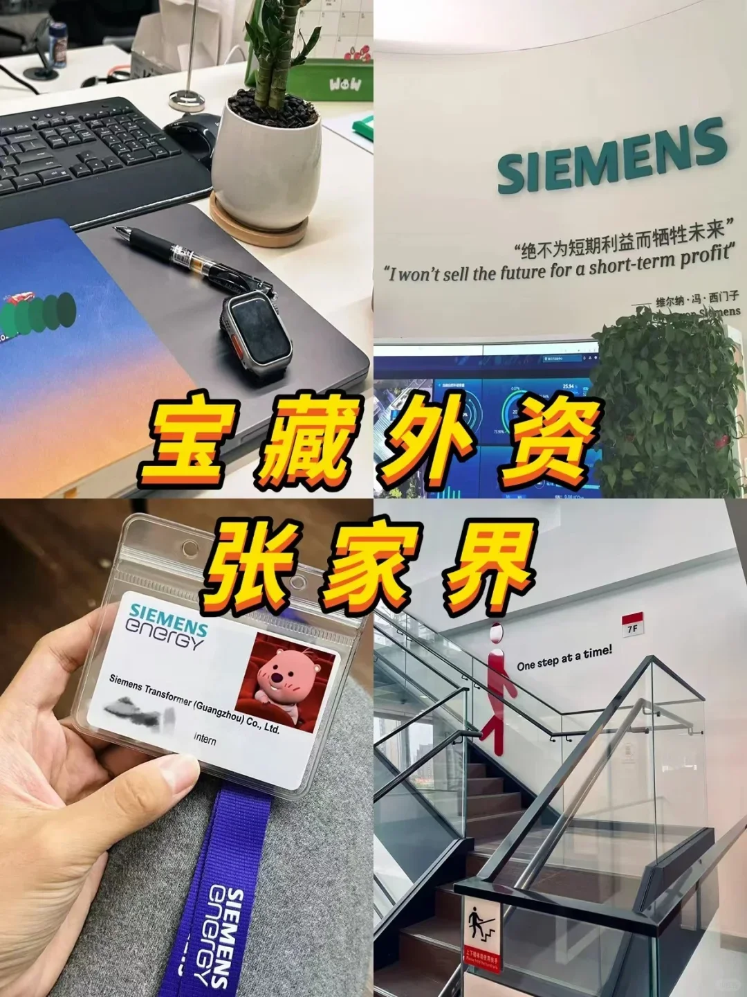 宝藏外资——张家界