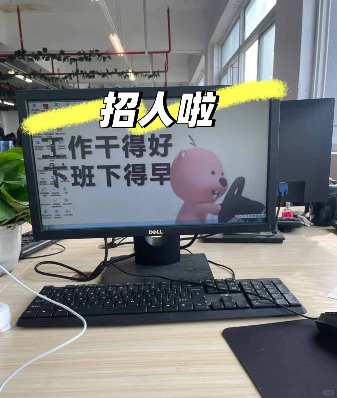 合肥瑶海区急招人事