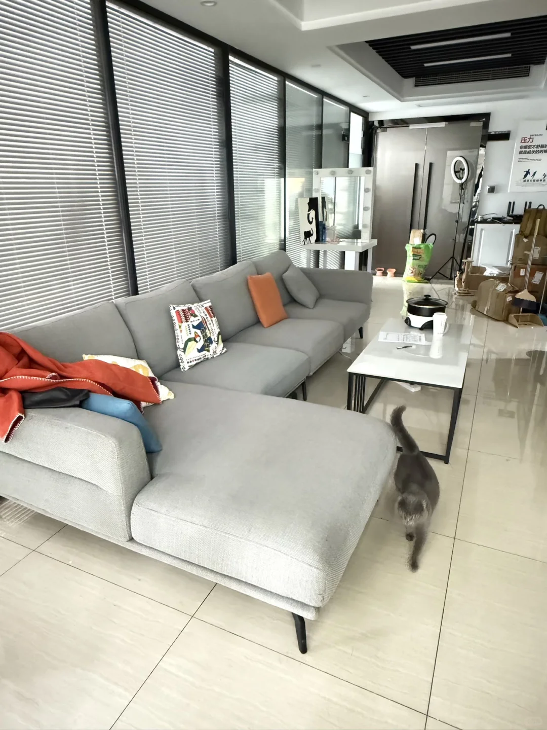 传媒公司招主播，正儿八经的！！！