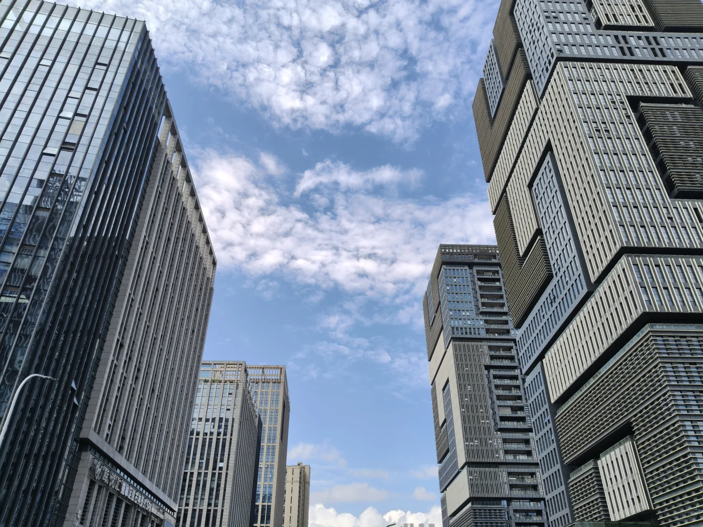 挺后悔来温州的