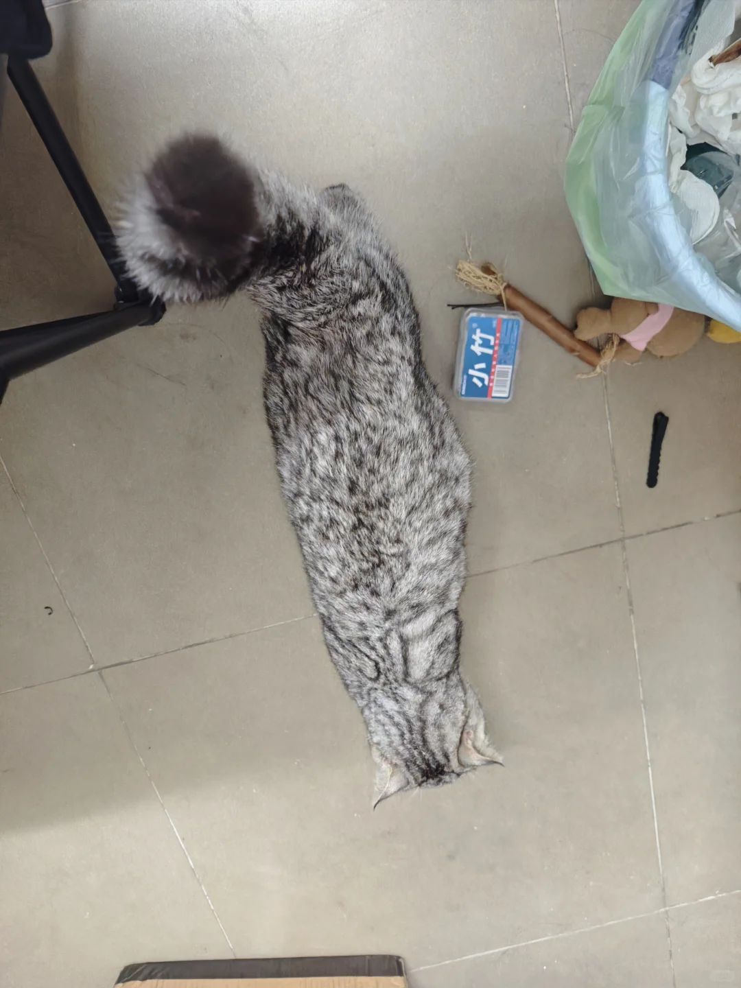 这就是传说中的猫条吗