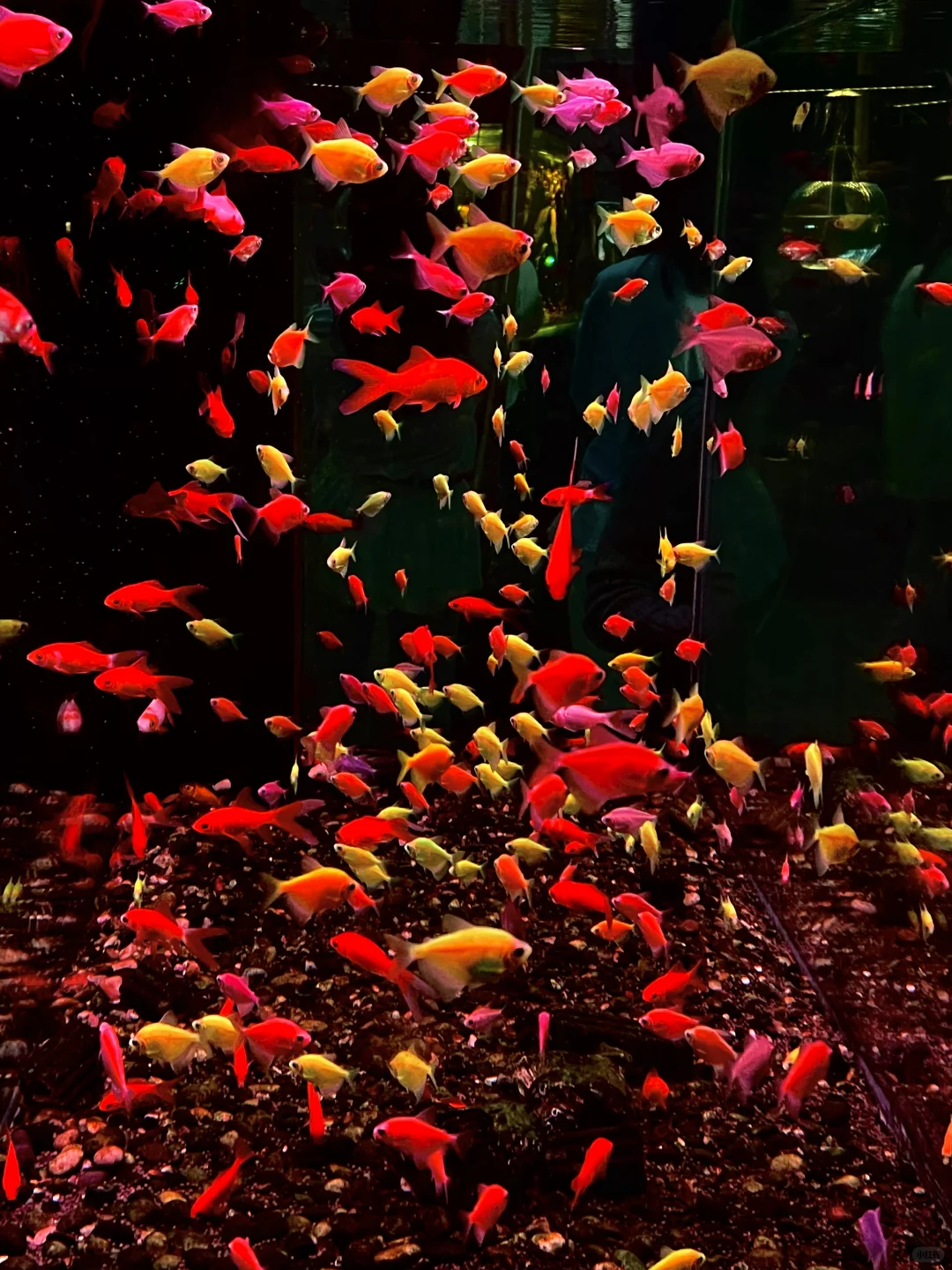 防止你失业后在杭州不知道做什么（合集