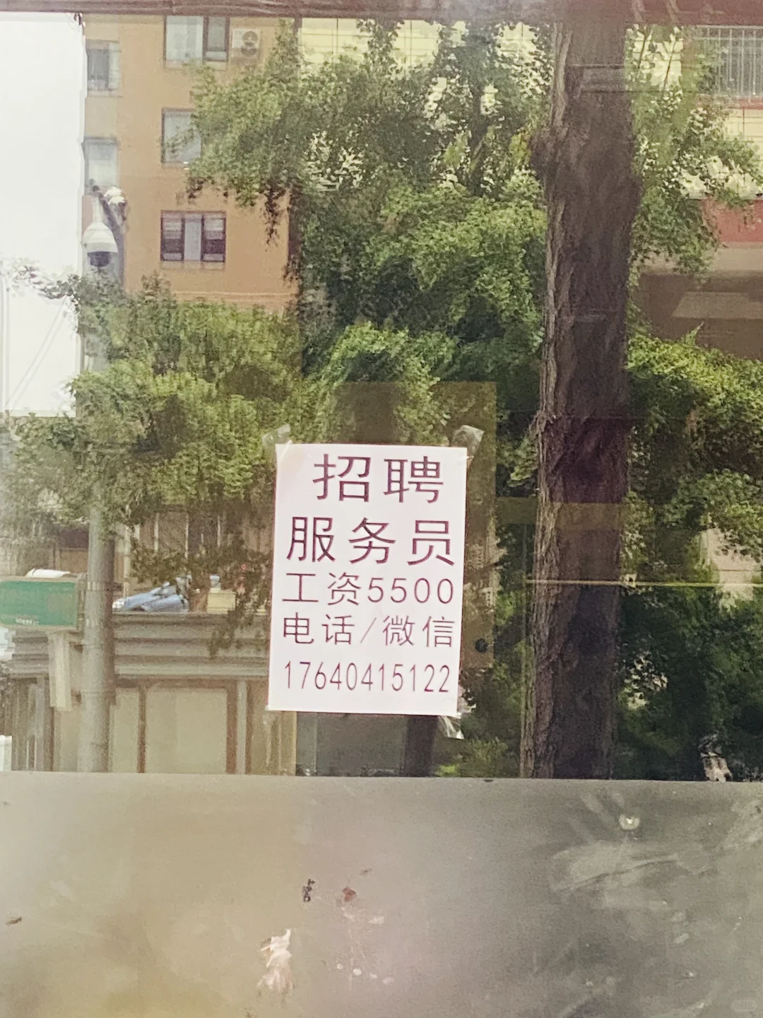 大连新开路饭店招服务员