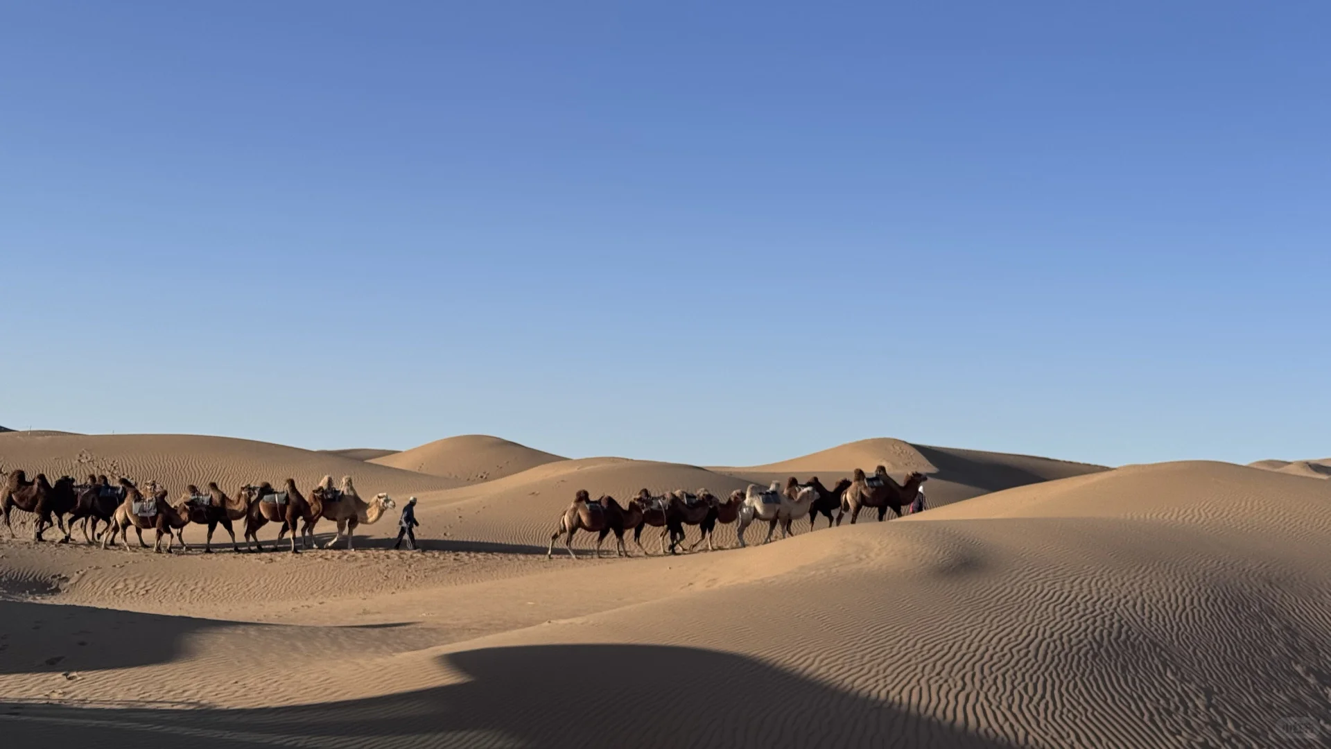 内蒙古+北京快乐九日游