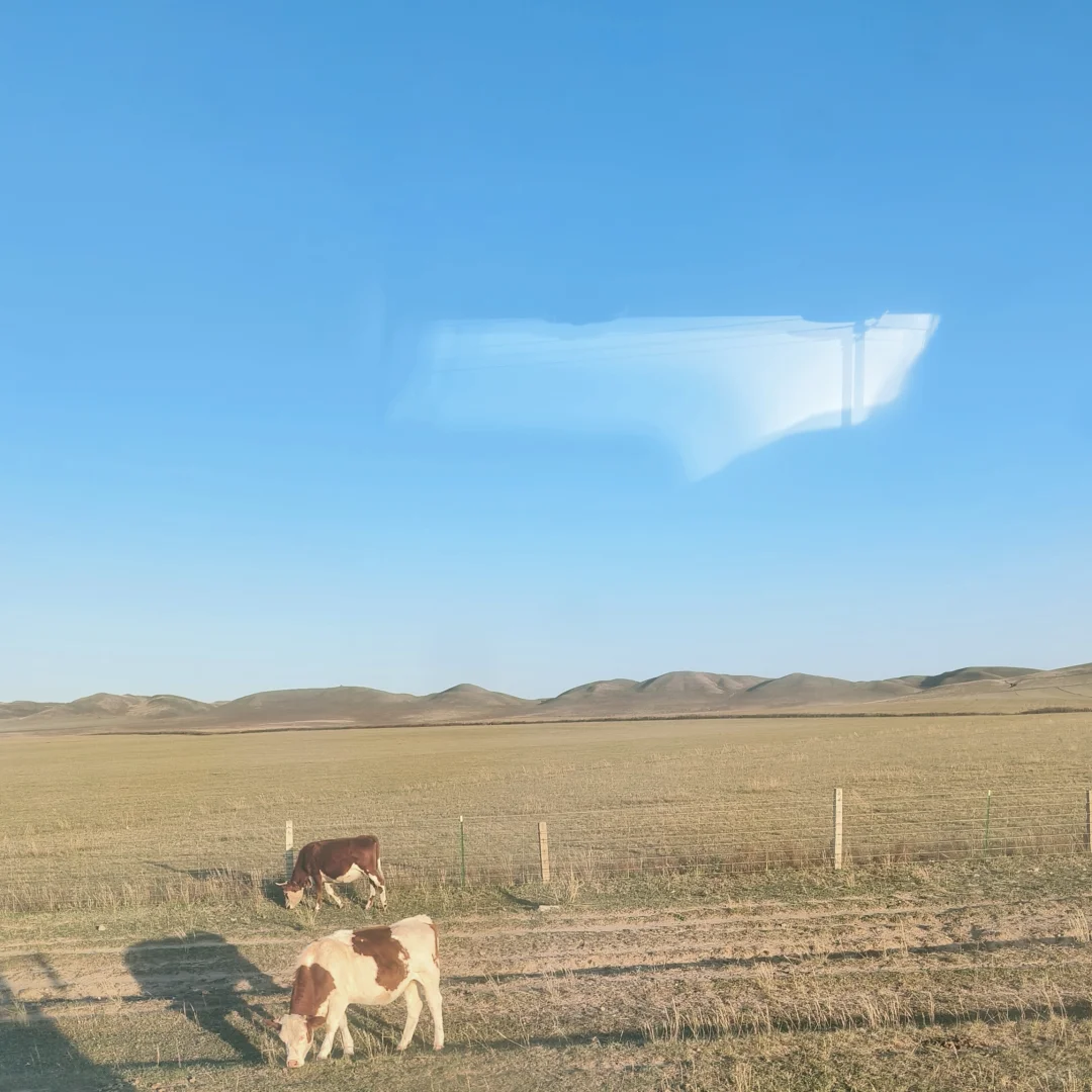 呼和浩特餐饮店招主播可兼职