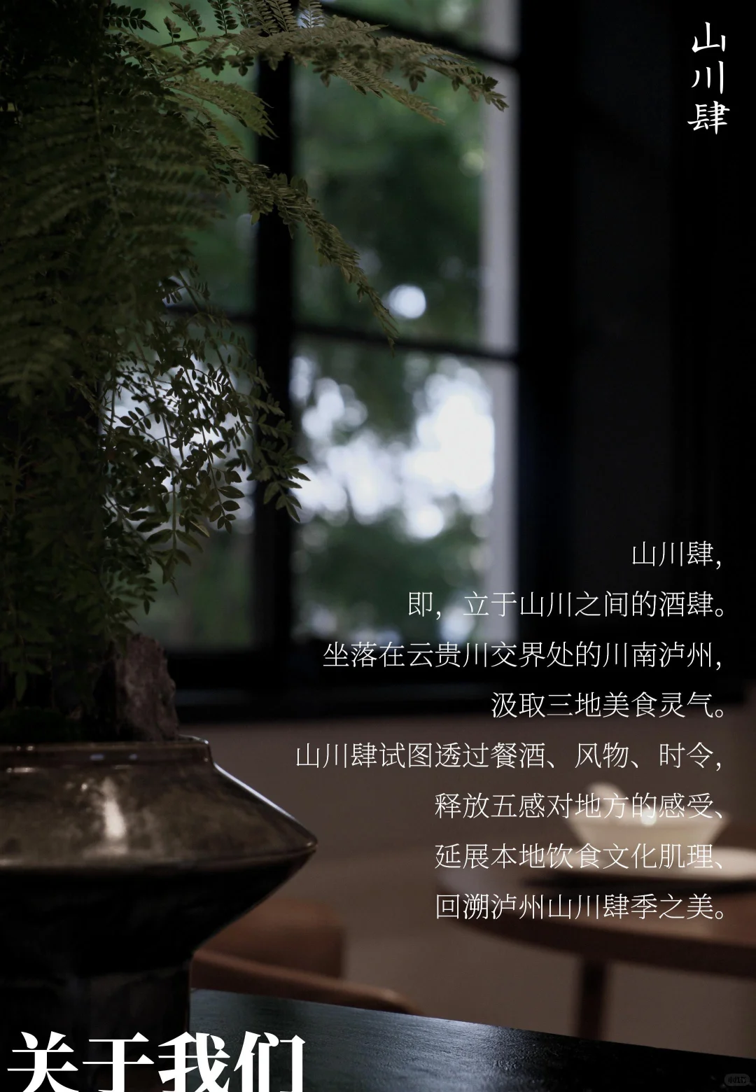 泸州山川肆｜团队招聘，与山川一起生长呼吸