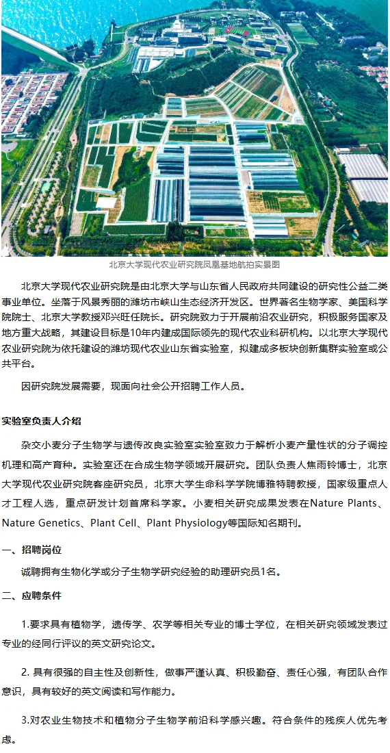 潍坊招助理研究员--北京大学现代农业研究院