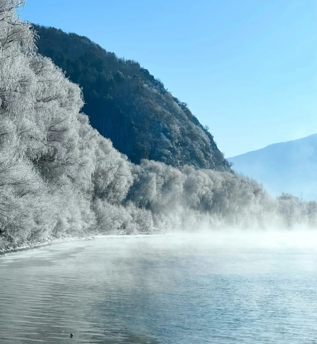 雪乡旁的童话义工招募！