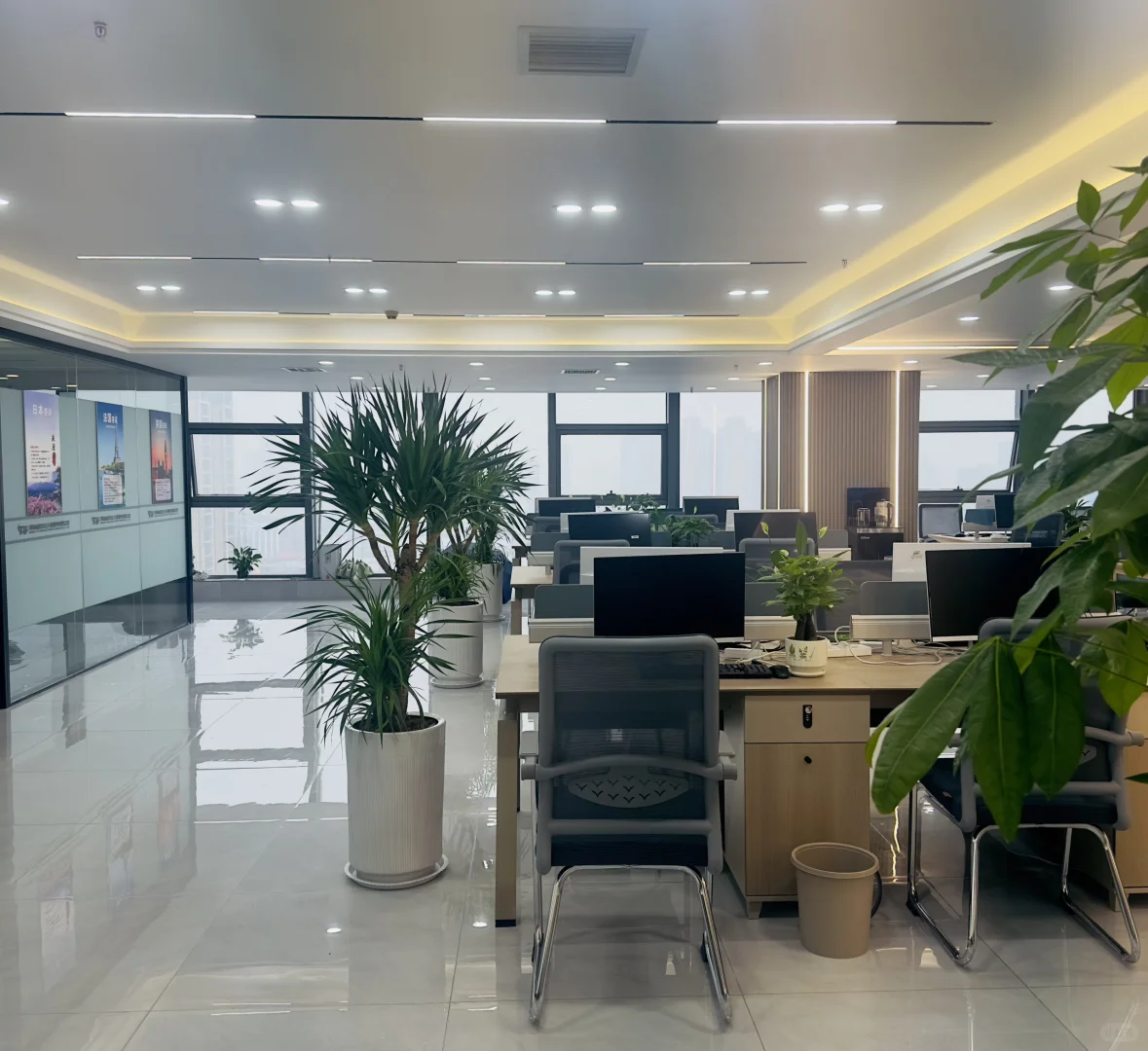 郑州新公司招聘！