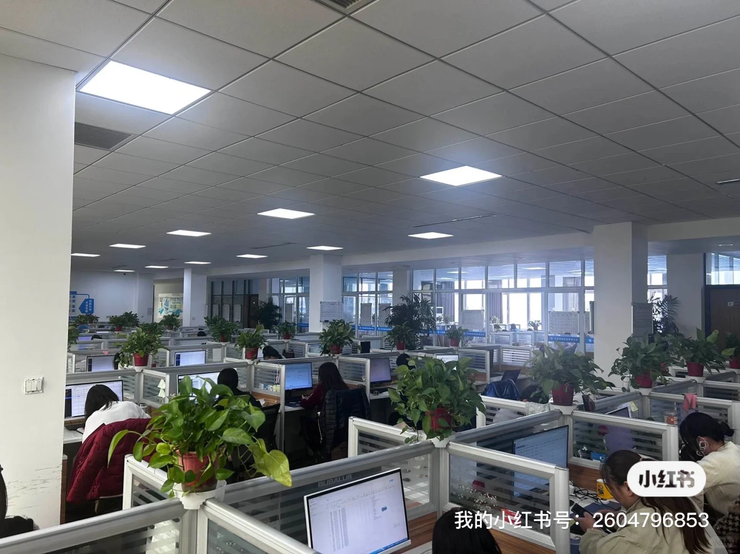 招聘电话客服数名，综合工资5000-9000