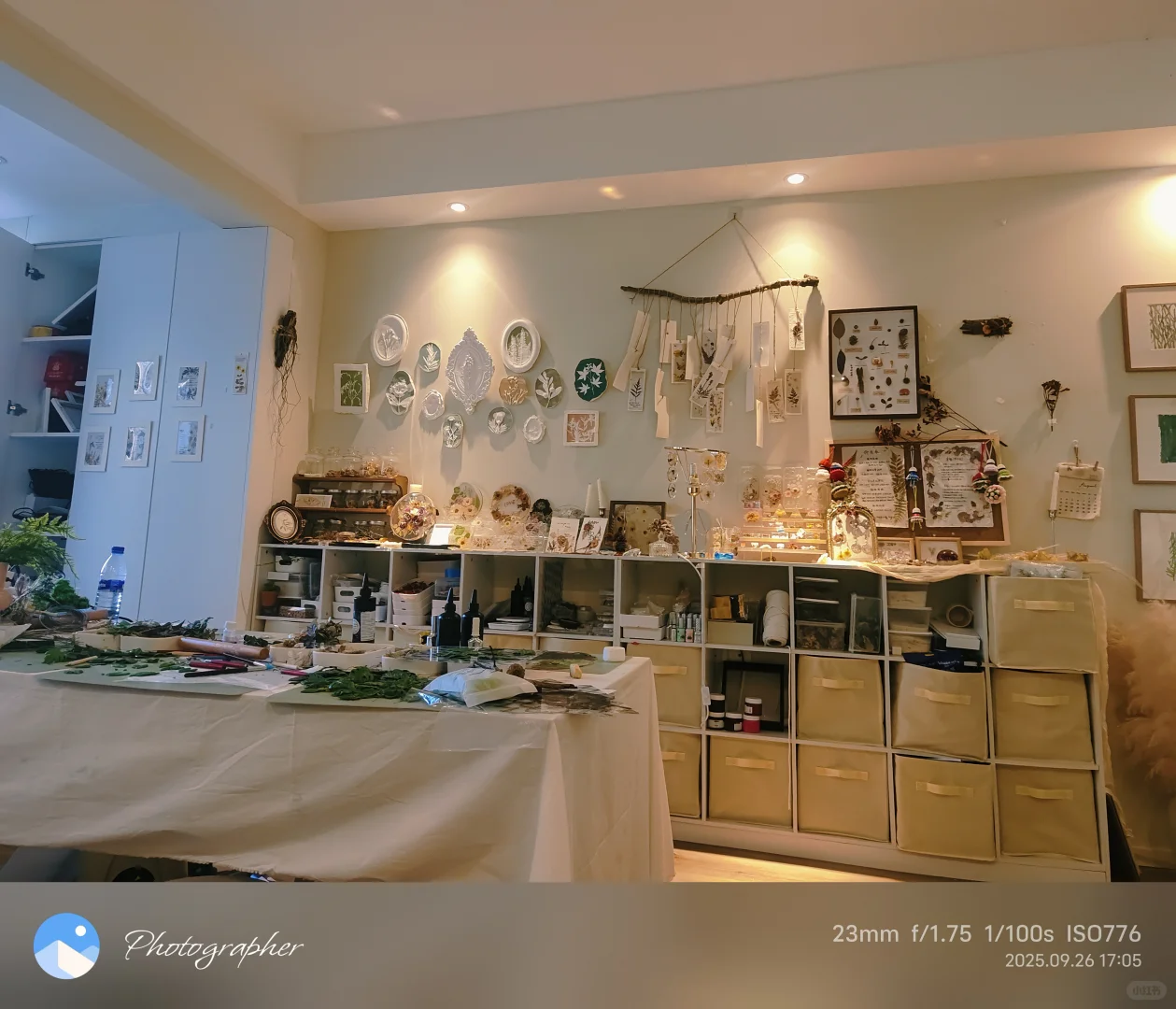 招美术老师兼职，求来人