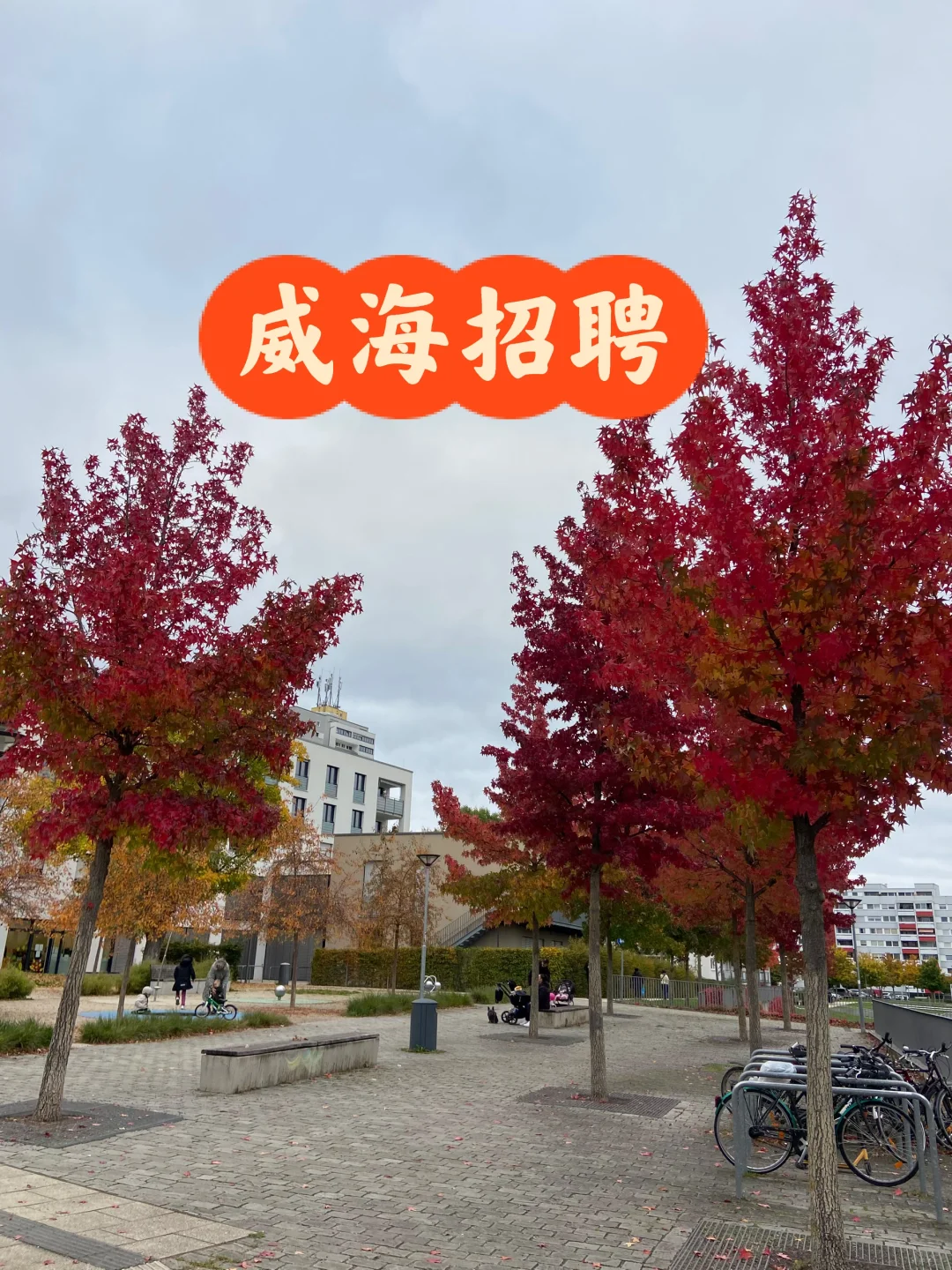 ilè高薪不露脸主播召集令 | 双休