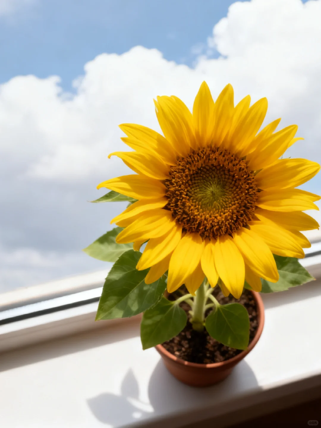 25德州武城县社区工作者，感谢姐妹给的网址