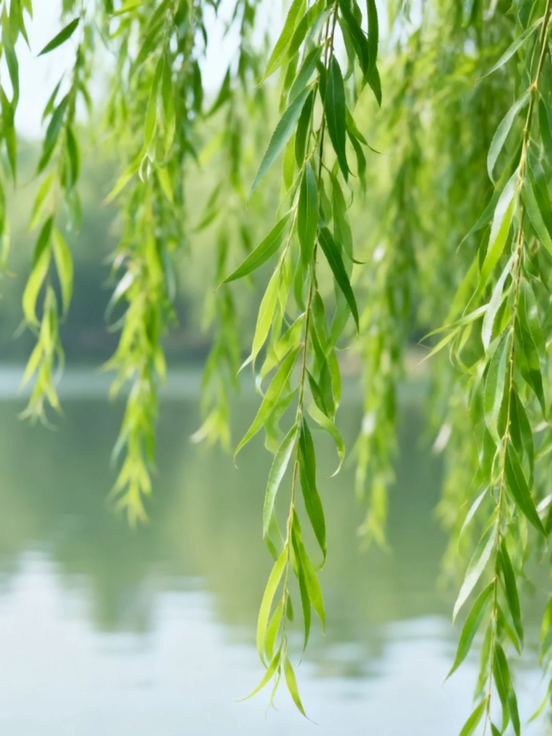 25朔州怀仁市社区工作者，能帮一个是一个！