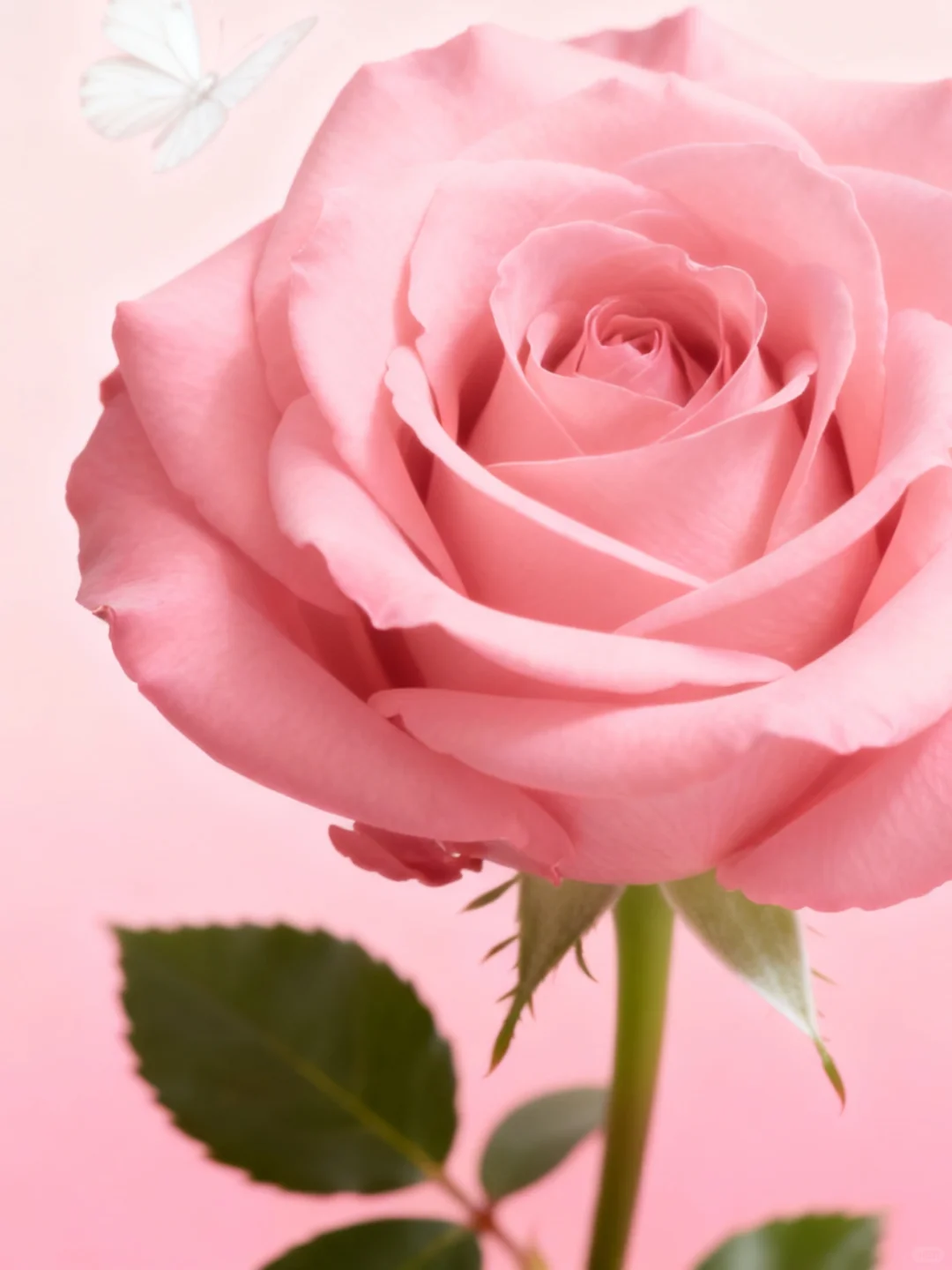 25贵阳修文县社区工作者，这次是真的放水啊