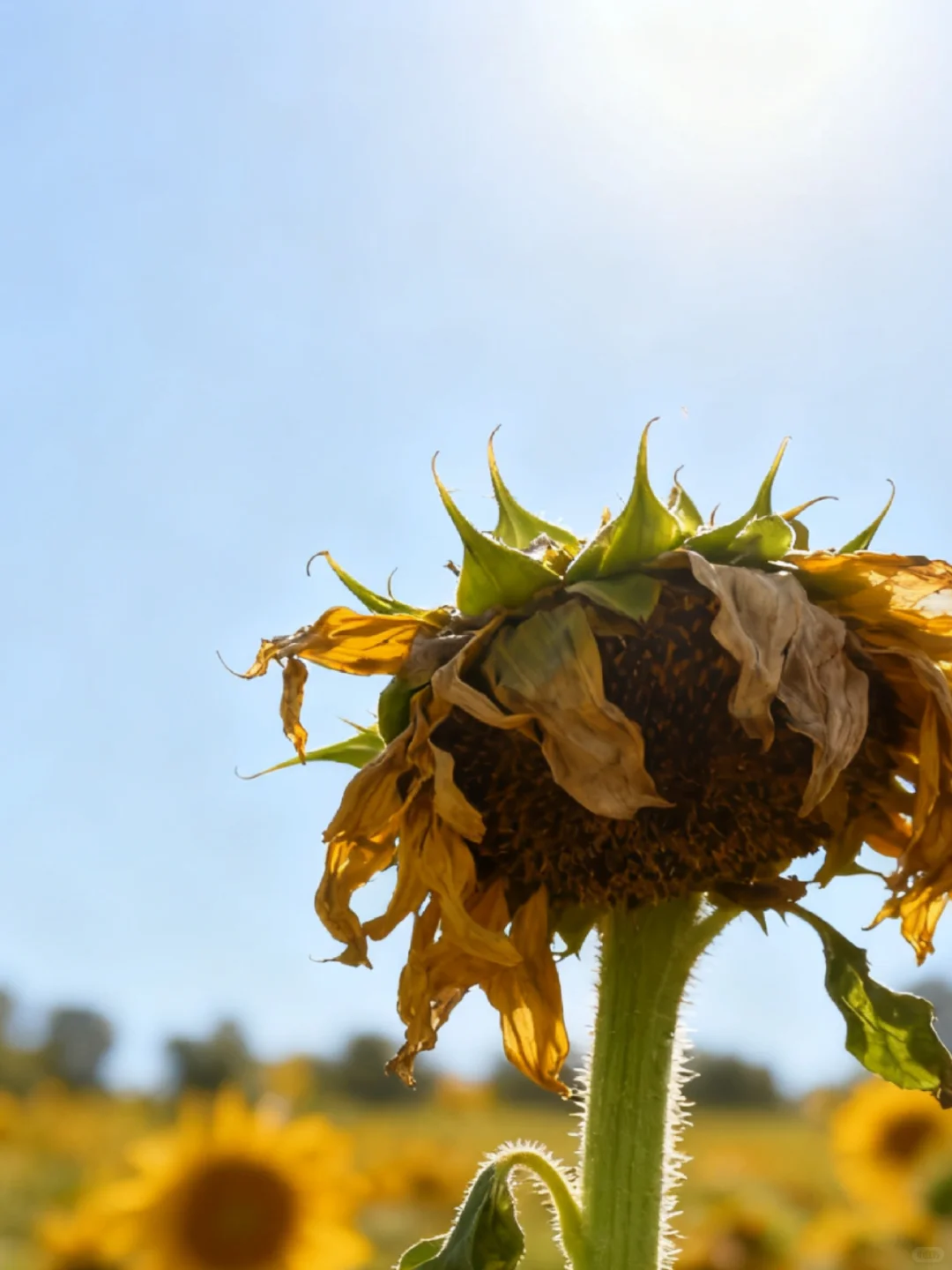 25沈阳市社区工作者，真的没必要焦虑！