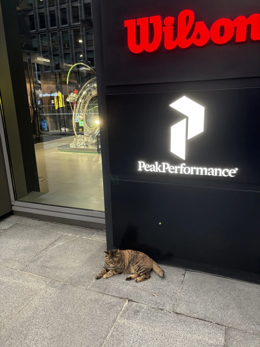 上海财务实习继任！！！