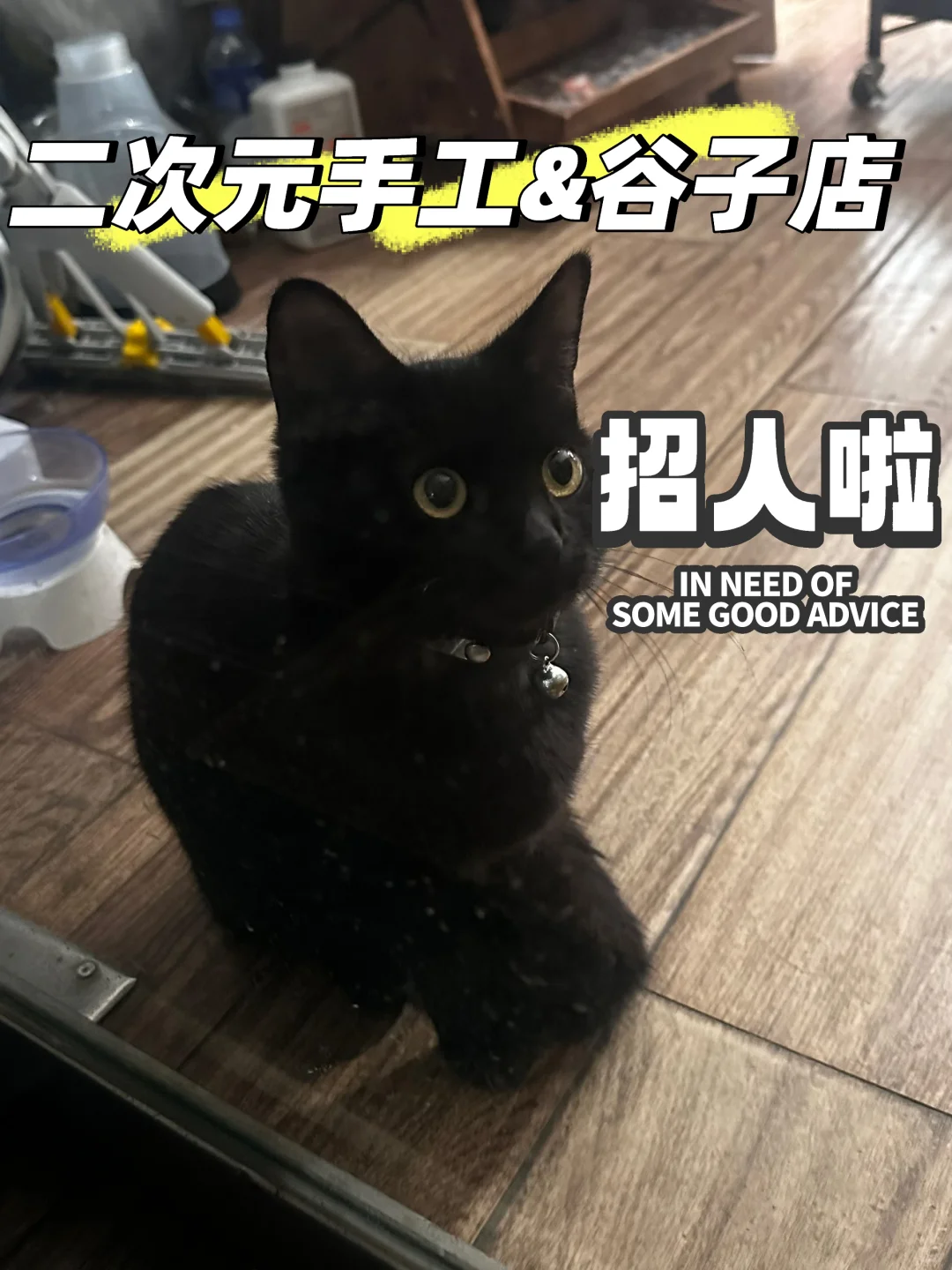 次元小窝学生招！！！