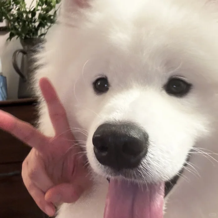 潍坊奎文女性友好公司招聘人事