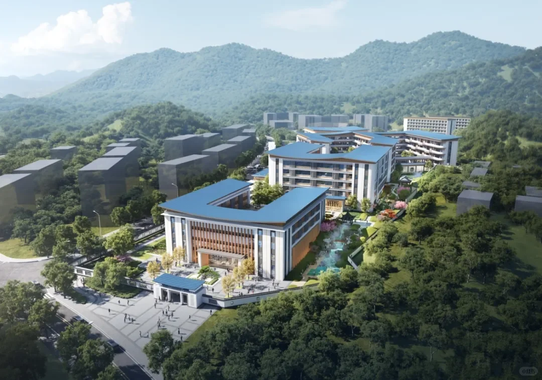 杭州市直属教招问答帖