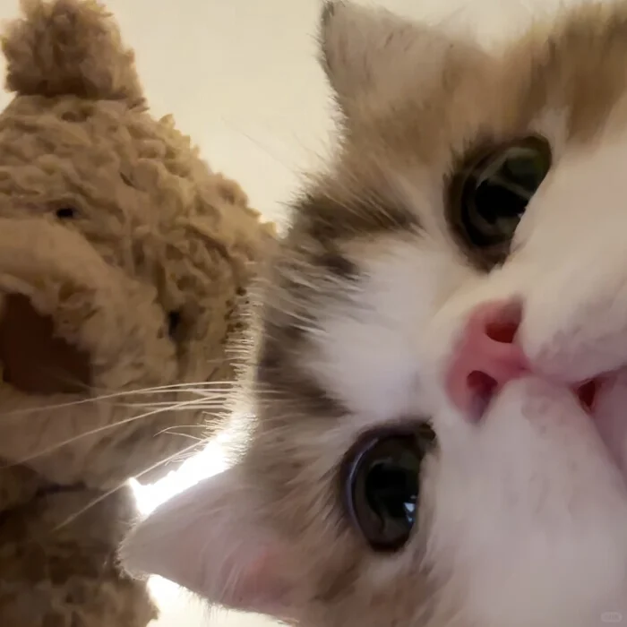 潍坊女性友好公司招聘人事2名