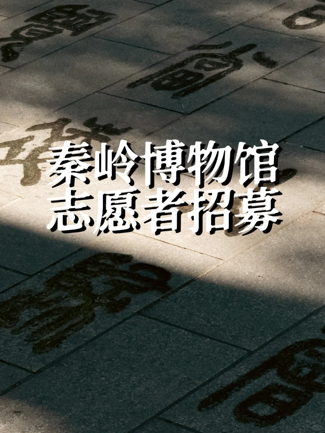 陕西｜🌲 秦岭博物馆志愿者招募