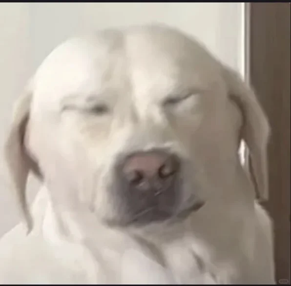 淮南市第一人民医院护士待遇