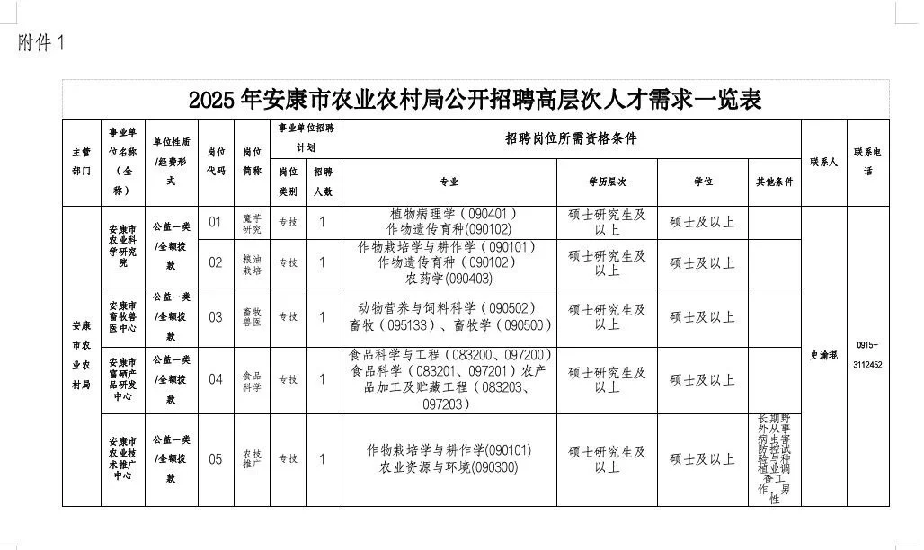 好工作来了‼️