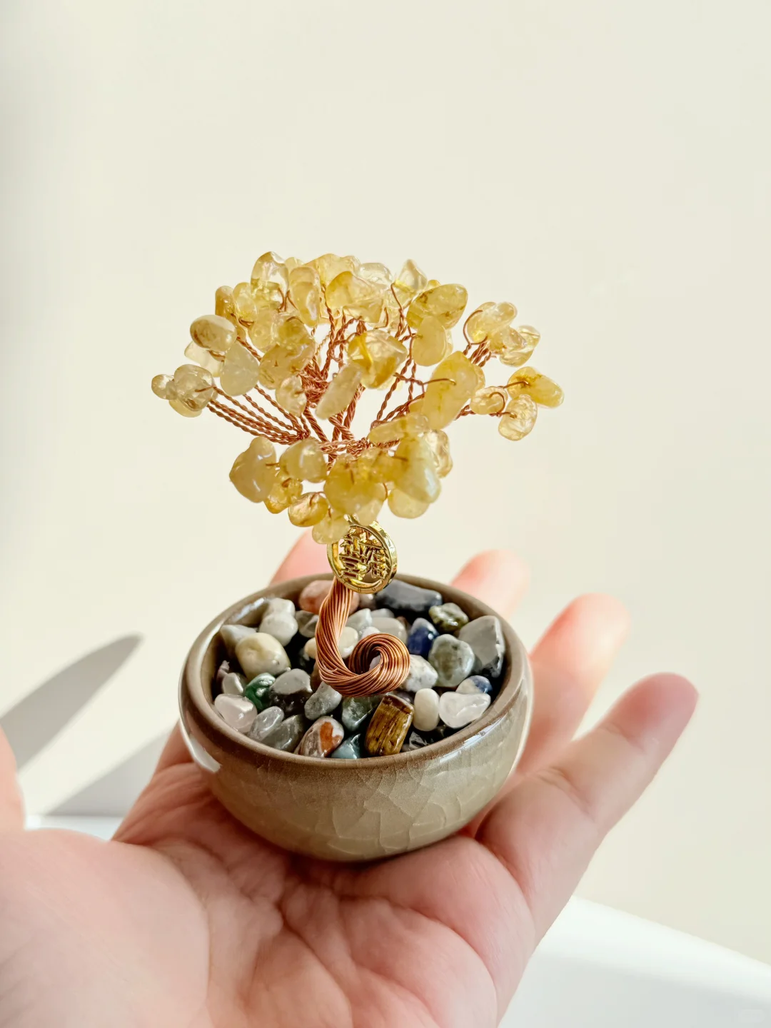 年度最佳！一眼就爱上了我的“小金树”