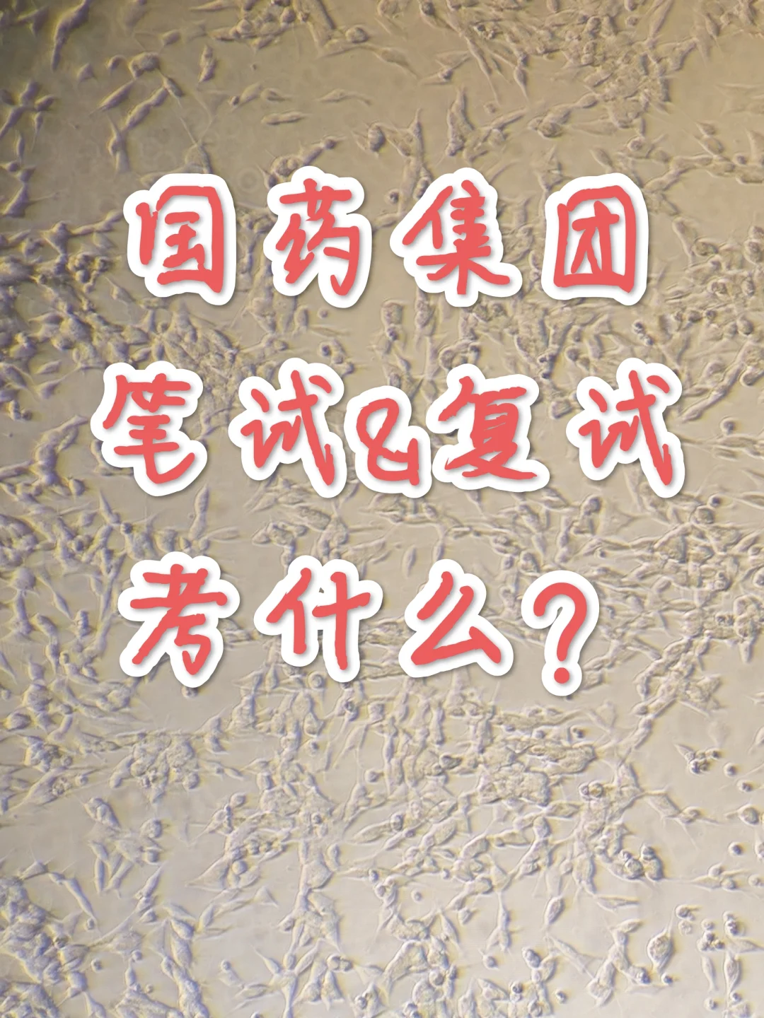 校招国药笔试&复试考什么？