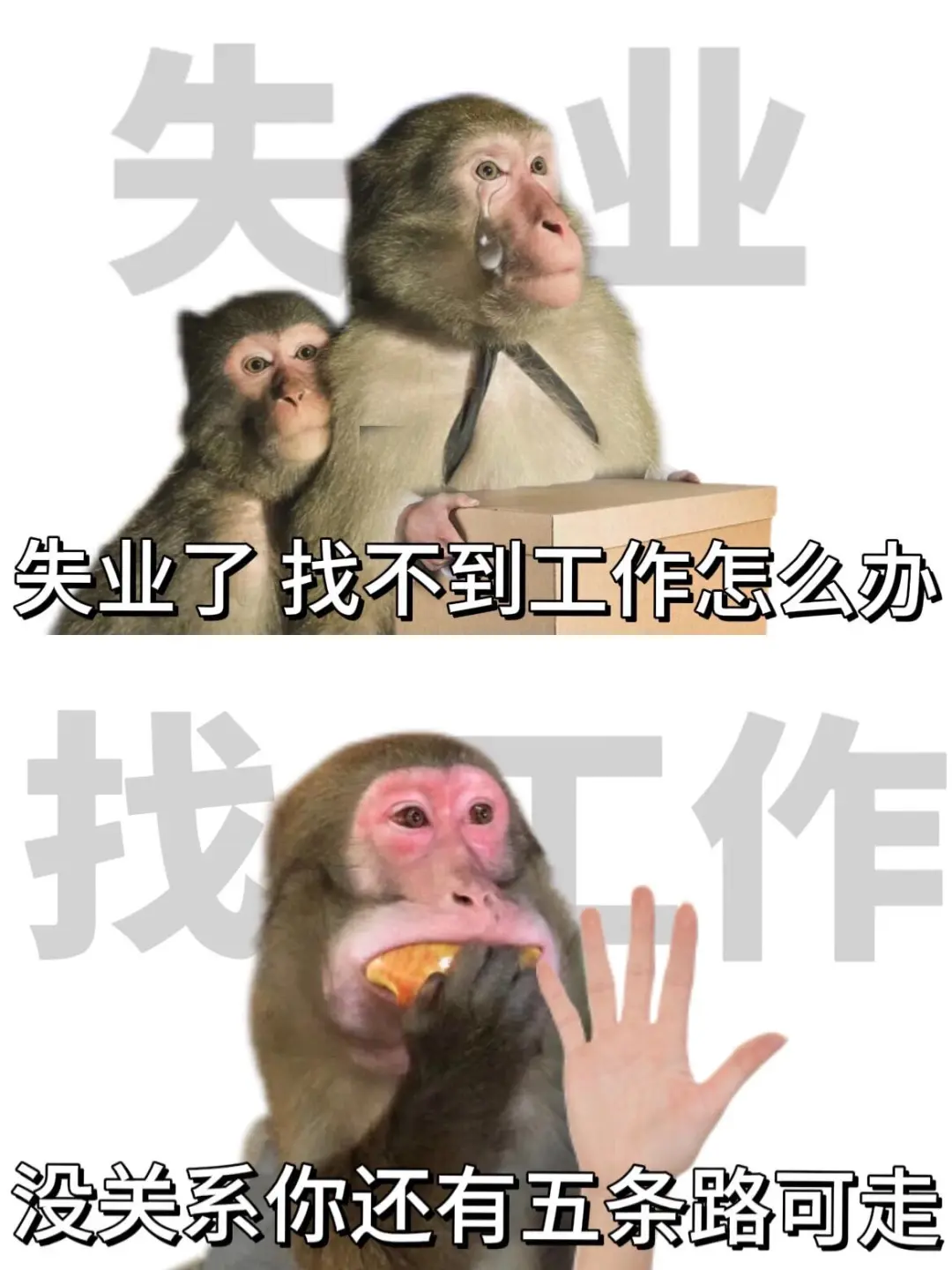 邯郸招💼的看我