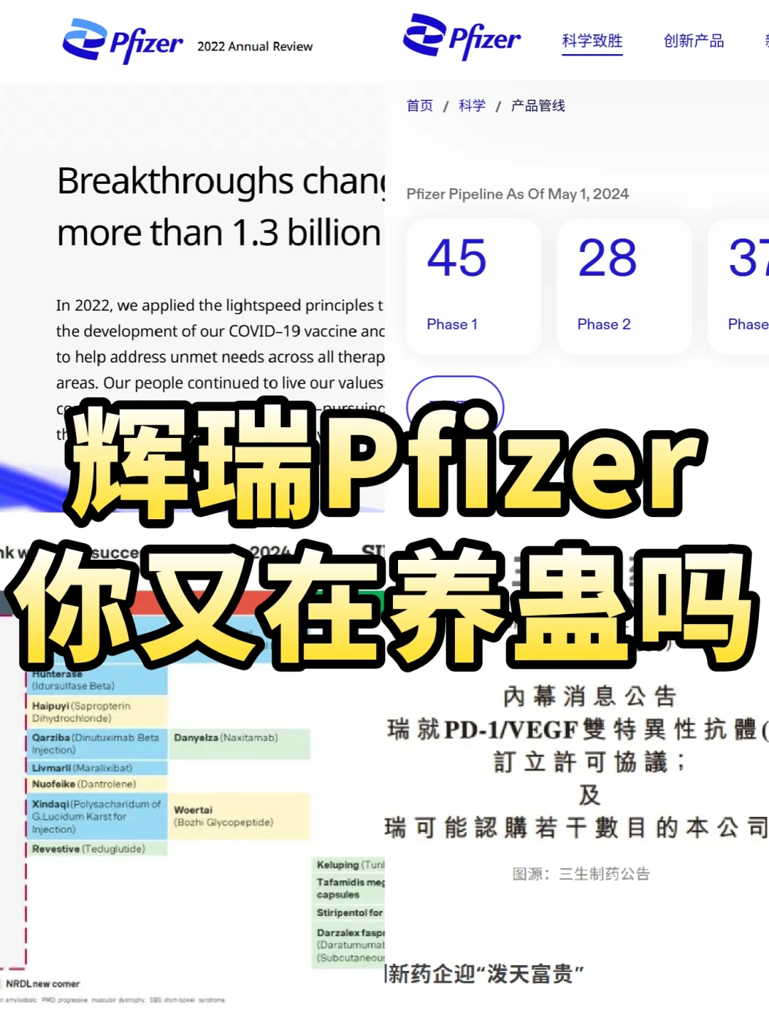 辉瑞你又在养蛊吗（第二题解析）