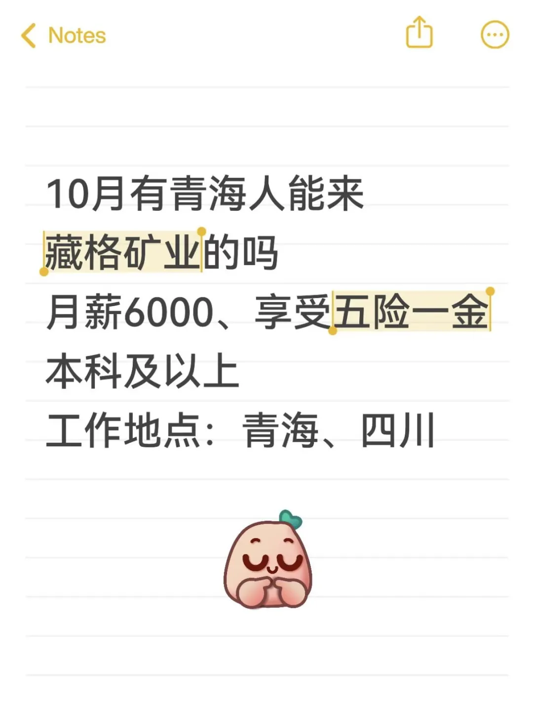 快来瞧瞧！藏格矿业 2026 校园招聘火热进行