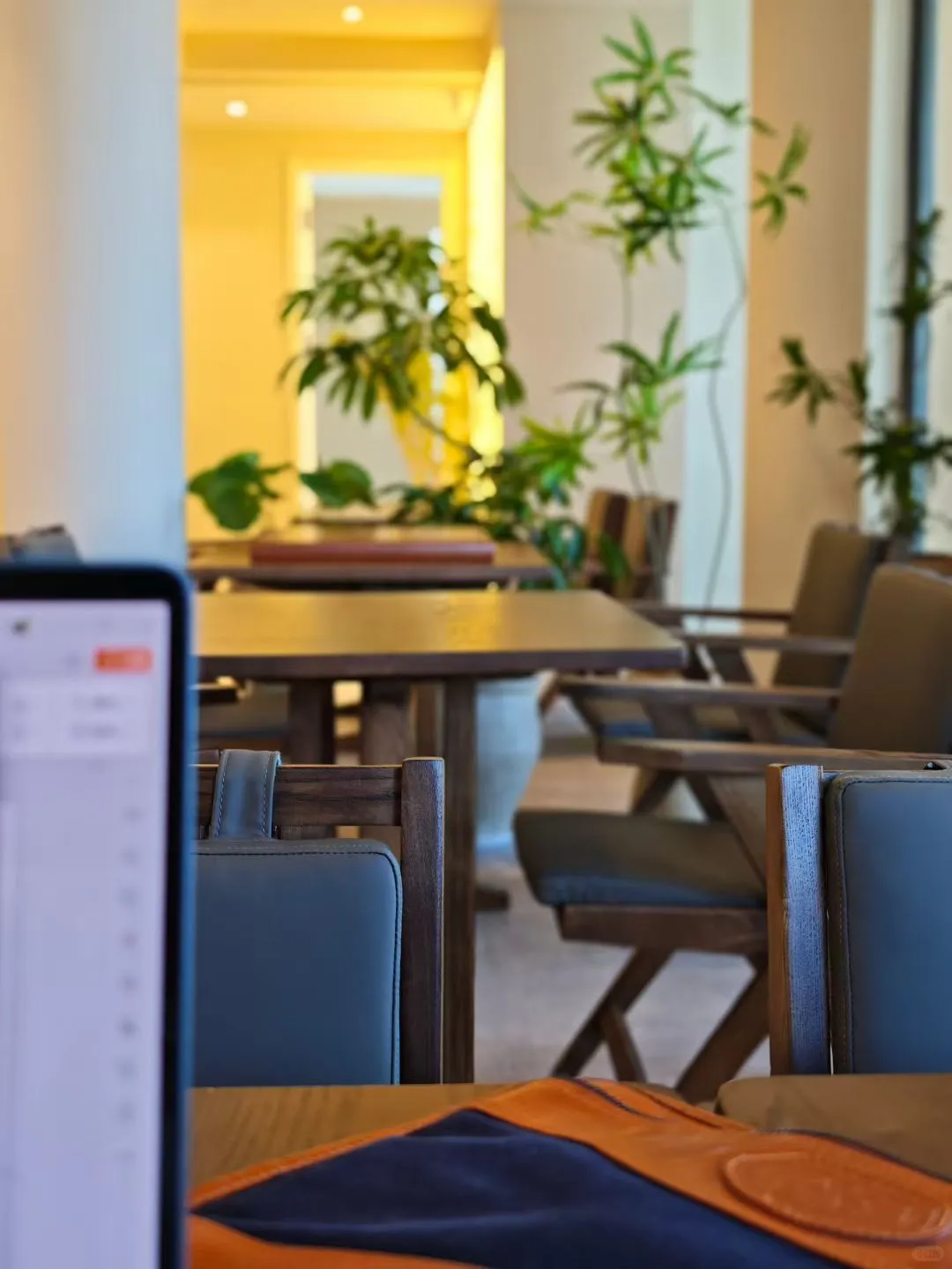 嗨，招聘咖啡师