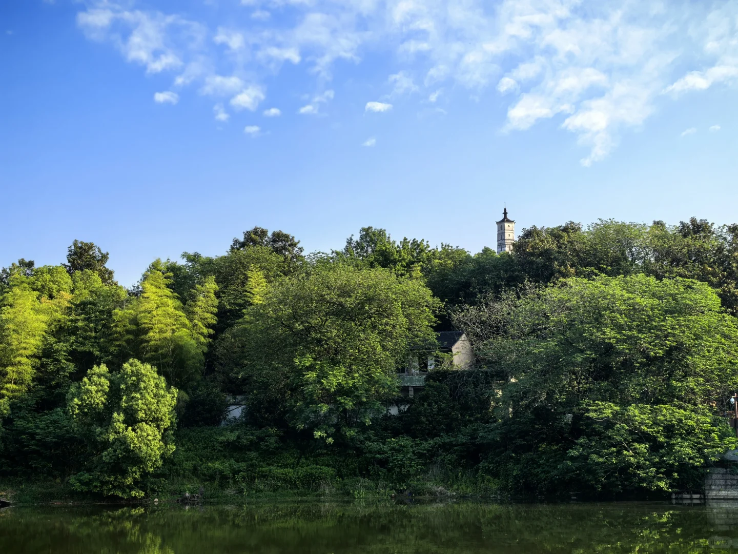 招聘阿里国际站运营