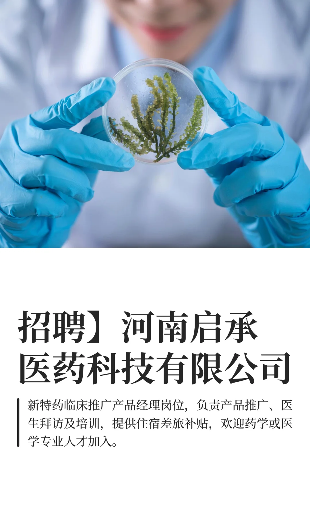 招聘】河南启承医药科技有限公司