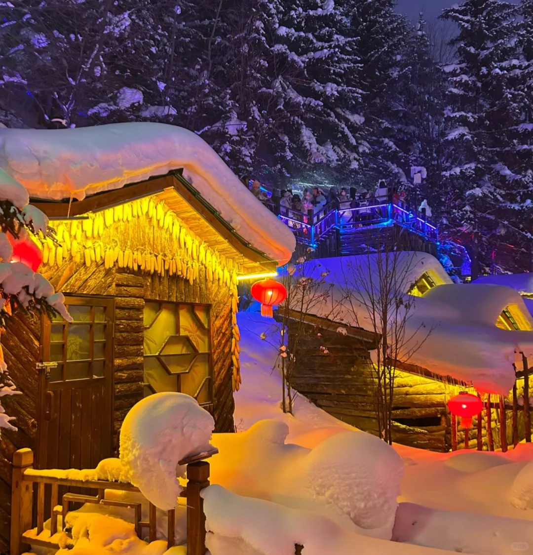 雪乡旁的童话义工招募！