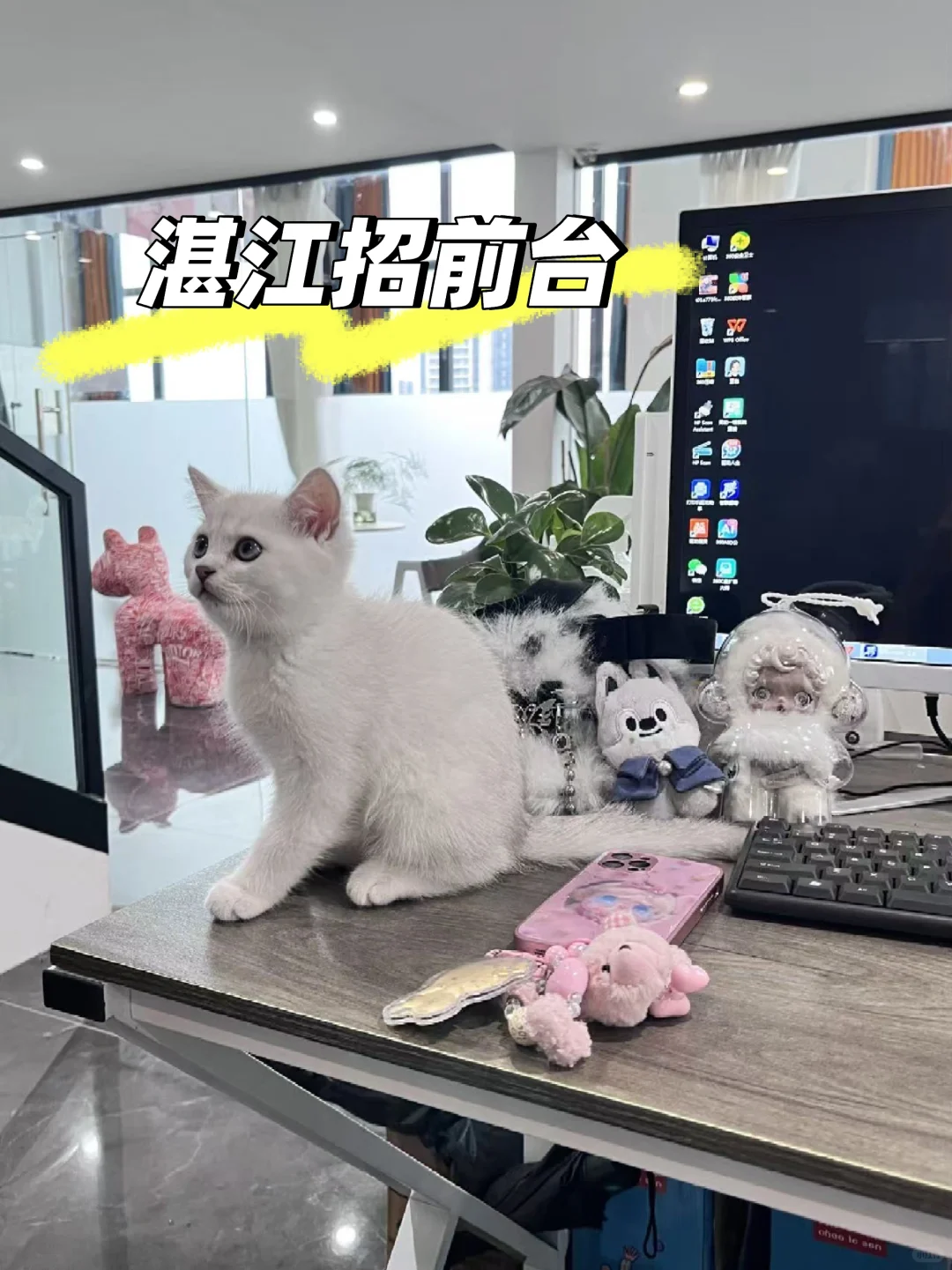 综合3k+ | 万达这边招前台哦 | 0经验也可