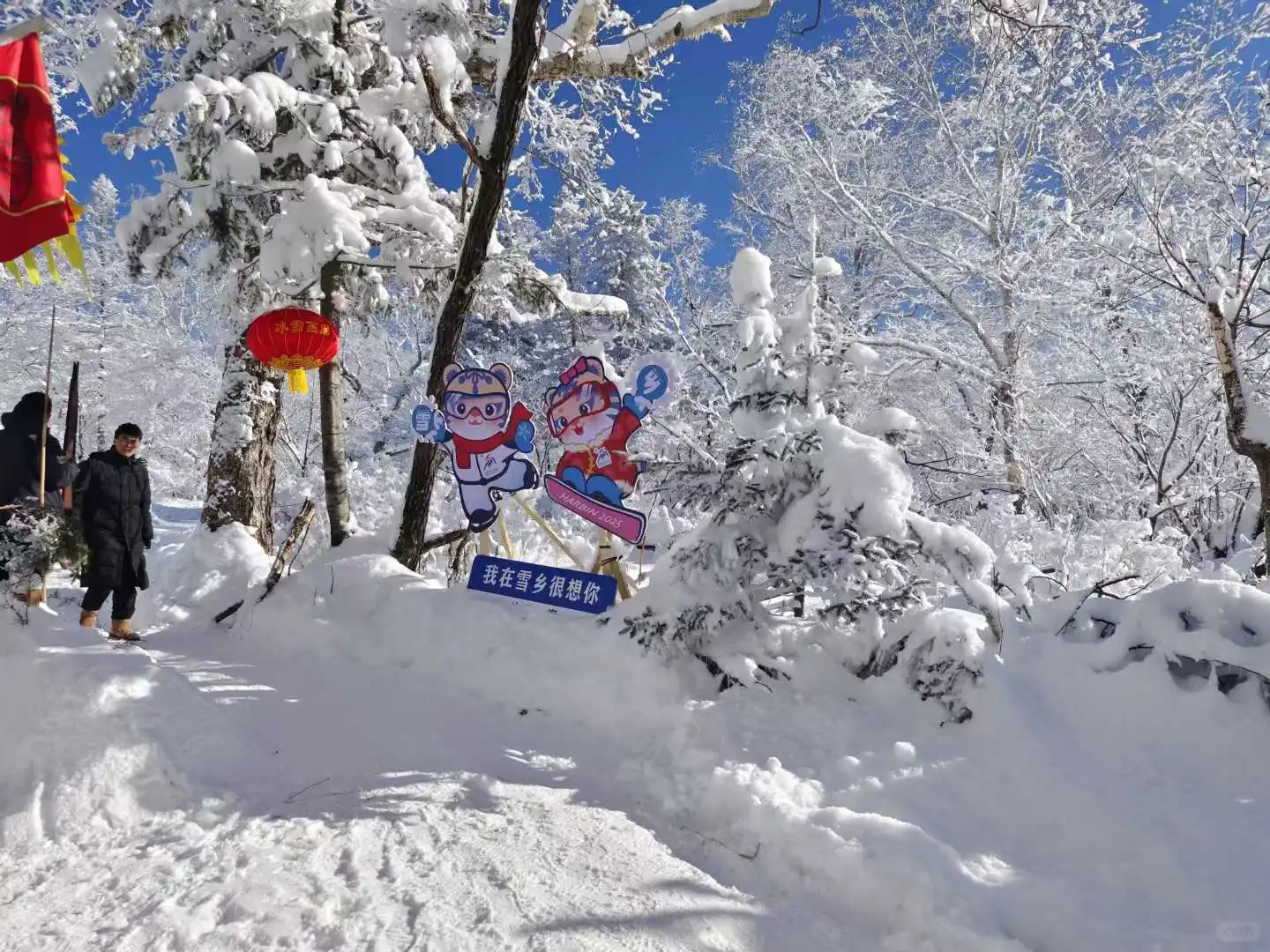 雪乡旁的童话义工招募！