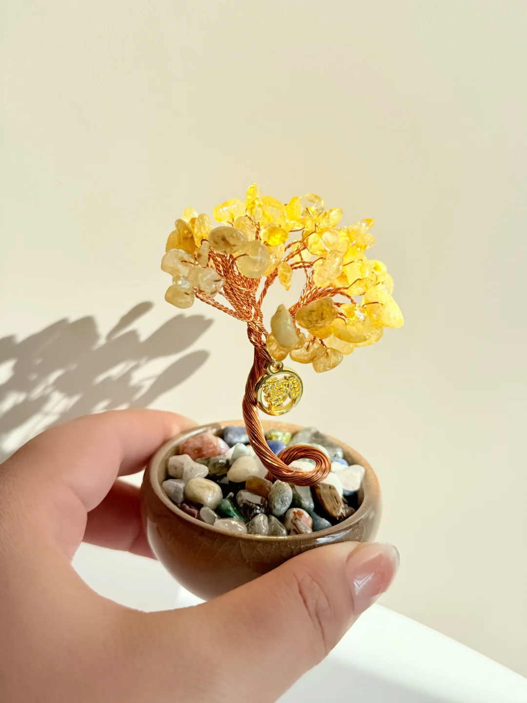 年度最佳！一眼就爱上了我的“小金树”