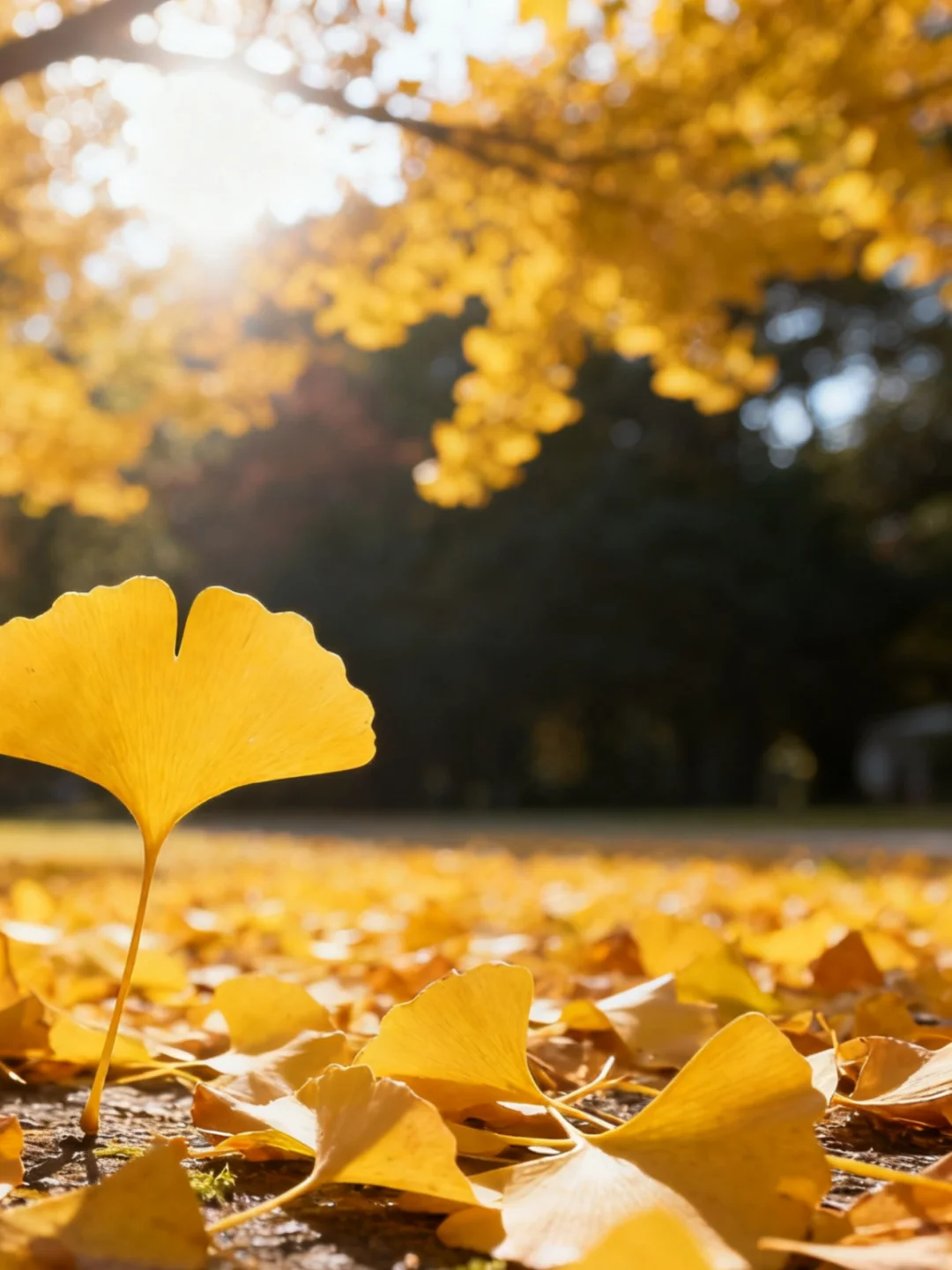 25沈阳社区工作者，大概率从这里抽！