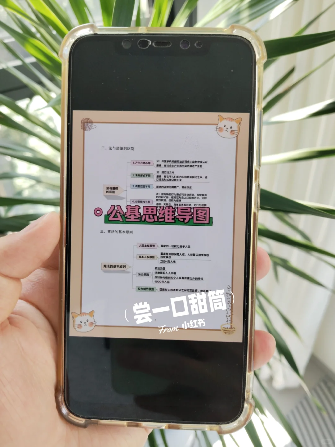 提醒一下，10.22报名泰安岱岳区社区的人