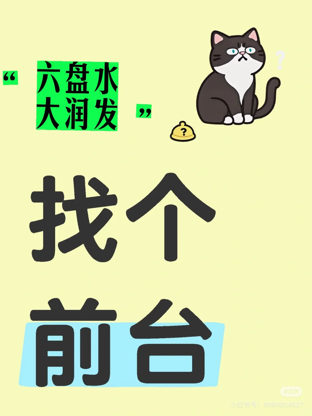 来找前台的小猫们～