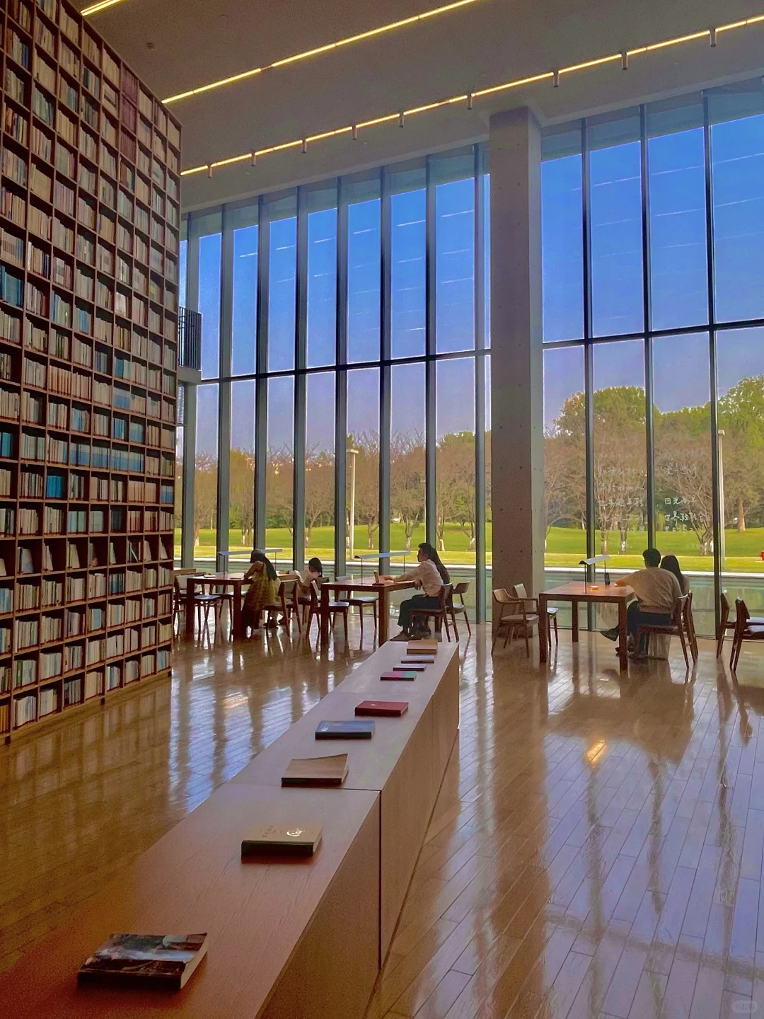 防止你失业后在杭州不知道做什么（合集