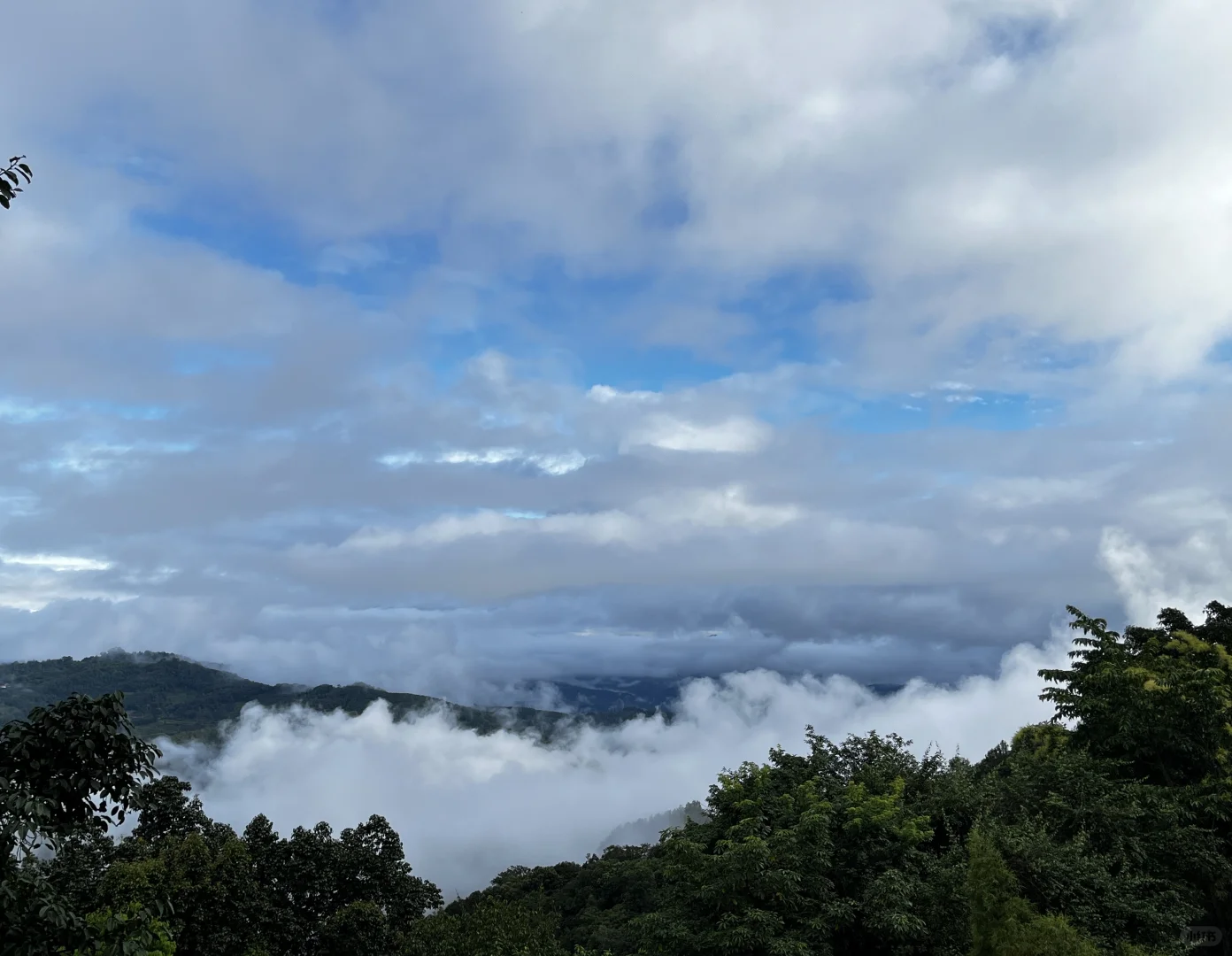 招人 有经验的民宿管家