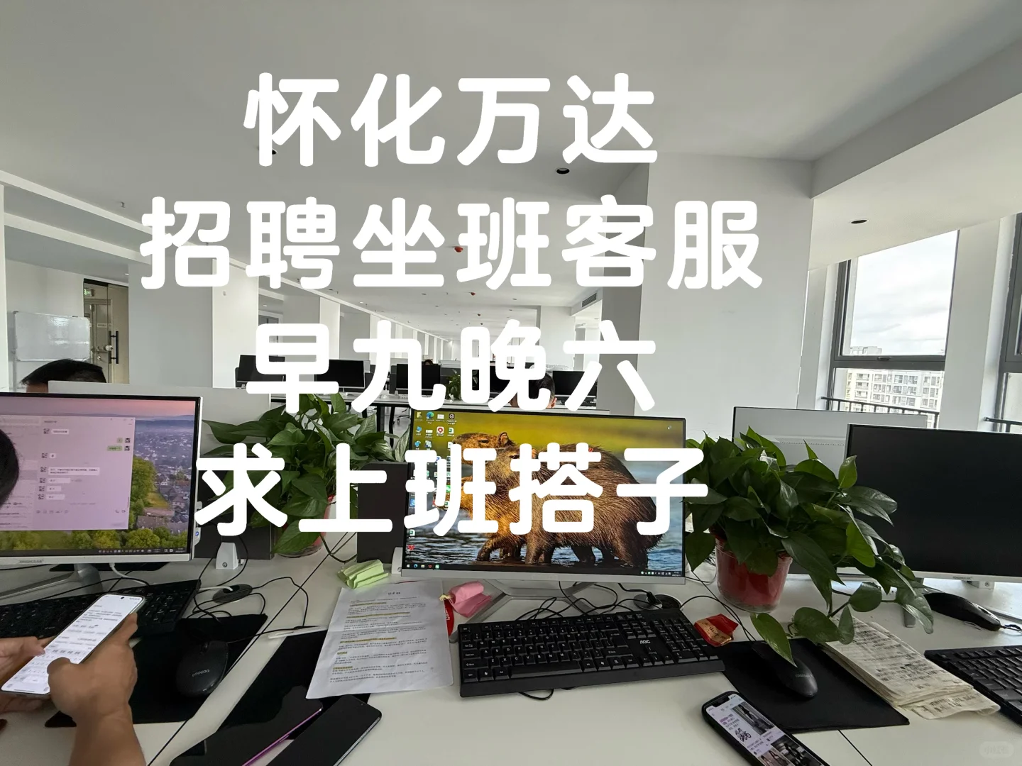 怀化万达求上班搭子